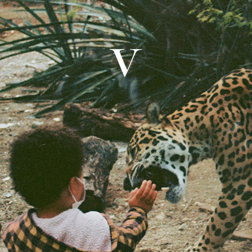 Surf Rock / Vibes 2