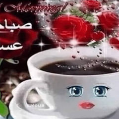 Skin on Skin - Violent Siblings/Burn dem Bridges [adhd version für GBS Management] (djluuca edit)