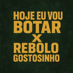 MTG HOJE EU VOU BOTAR X REBOLO GOSTOSINHO (feat. DJ VINI MS, MC KAH, MC PRETCHAKO & MC MAGRINHO