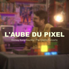 Donkey Kong - The Credits Concerto