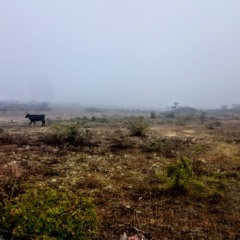 Dags att hitta hem igen.