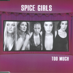 Too Much (Radio Edit)