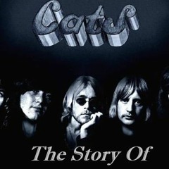 The Story Of The Cats