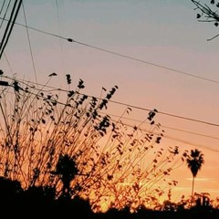 Warmth