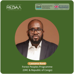 Lassana Koné — Forest Peoples Programme, Congo Basin | Indigenous rights and legal frameworks