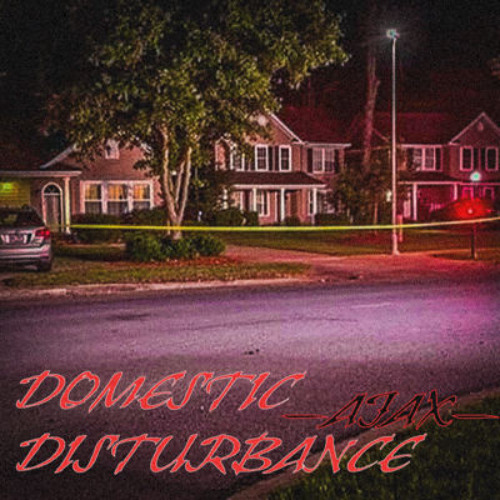 DOMESTIC DISTURBANCE