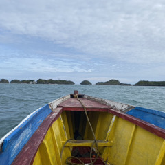 congratulations acoustic