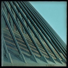 Vikings in Tibet - The Art of Staying Half Awake