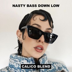NASTY BASS DOWN LOW