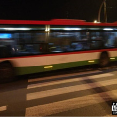 QQŁKA - Proste życie