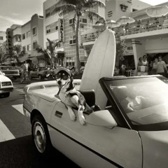 Hight Heels In Miami