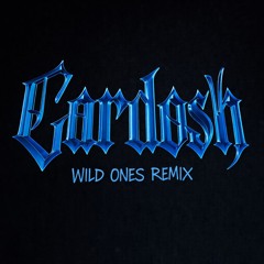 Flo Rida & Sia - Wild Ones (Cardosh Remix)