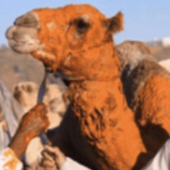 غير الطايلات🔥