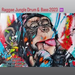 Reggae Jungle Drum & Bass 2023