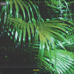 HAYDEN AKT & PAV - GUAP