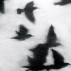 Birds (silver skeleton demo)