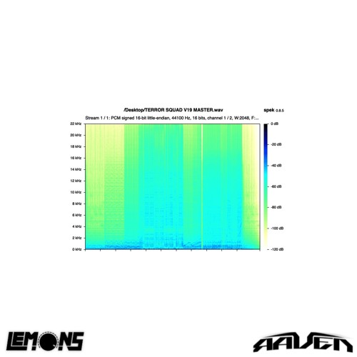 TERROR SQUAD (w/ WHITE RAVEN)