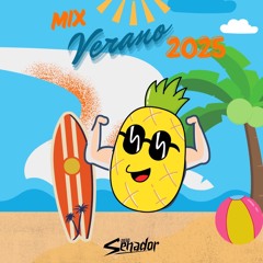 MIX VERANO 2025