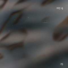 nunsen·tape 25 - Rey Q