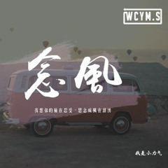 我是小力氣 - 念風「我想你的痛在忍受，思念成風在翻湧」【動態歌詞/pīn yīn gē cí】