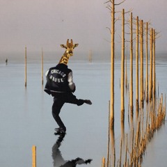 Giraffe Under The Sea