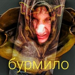 Дощ Freestyle