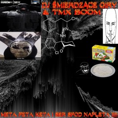 DJ ŚMIERDZĄCE GIRY & TMX BOOM - META, KETA, FETA I SER SPOD NAPLETA }))))