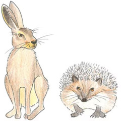 Märchenstunden 1:00 - Der Hase und Der Igel