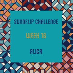 SunnFlip Challenge Week 16