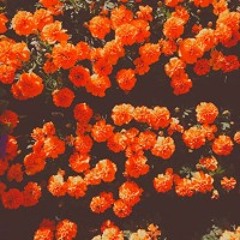 Lonely Times - lofi type beat | royalty free | lofi hip hop | free music