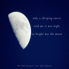 halF chirpinG [naviarhaiku363]