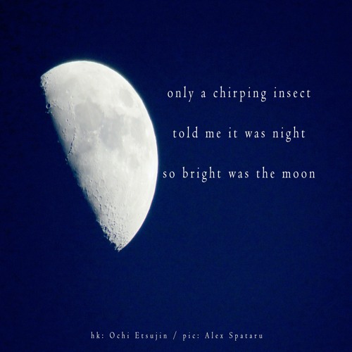halF chirpinG [naviarhaiku363]
