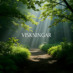 Soft instrumental music