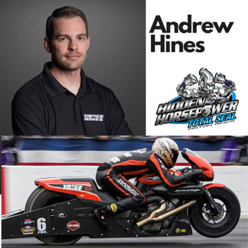 Andrew Hines E75 Total Seal Piston Rings