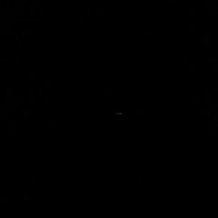 IN THE DARK I WISH YOU STAYED
