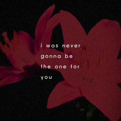 i can't hate you because you couldn't love me