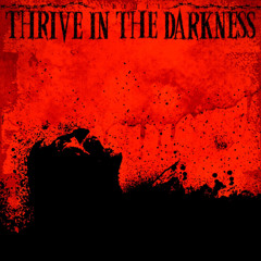 CEEJAY - Thrive In The Darkness