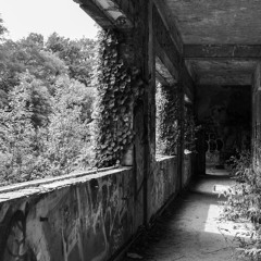 Random Signal Recordings - Classics