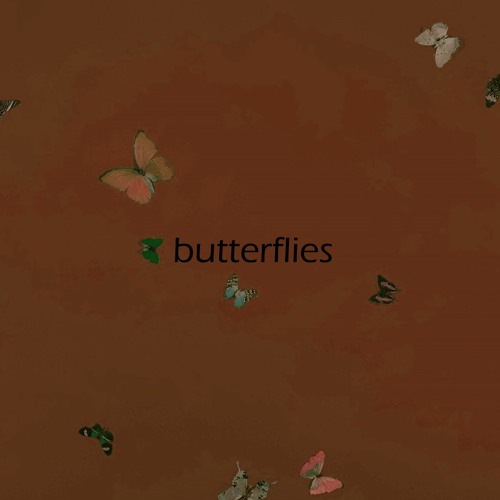butterflies
