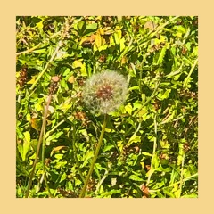 Spring Won't Last Forever (feat. Intersepter9)