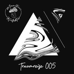 Manitari pres. Traumreise 005 | Flowpal