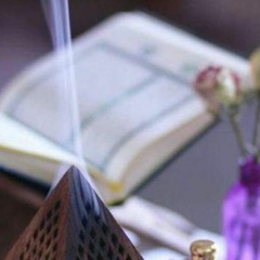 مع المُفصّل | محمد مصطفى عبد المجيد