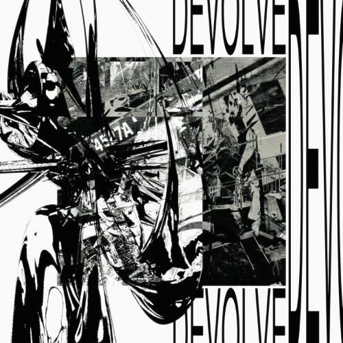 DEVOLVE