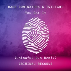 Bass Dominators & Twilight - You Got It (Unlawful DJs "Remix" Remix)