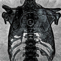 possessions & 808s *p. whomadethis