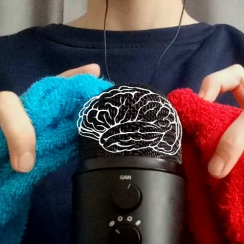 ASMR Brain Melting Scratching 💤 (No talking) l Fabric Scratching l Mic Scratching l Short ASMR