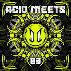 Sylo vs Minds Controllers - Overshoot [soon on Acid Meets 03]