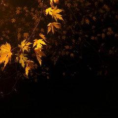 Melancholy