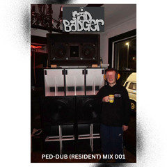 PED-DUB || 140/Dubstep Mini Mix || RESIDENT MIX 001