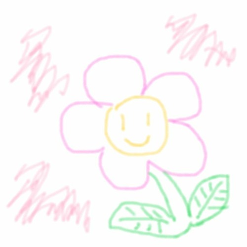 보지